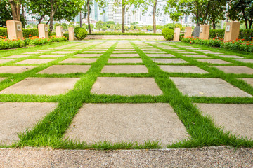 Pattern of square cement floor tiles with green grass blackground.