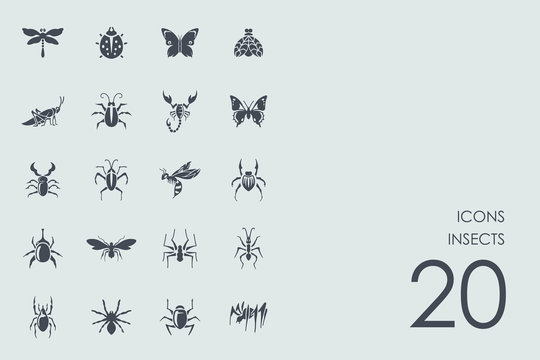 Set of insects icons