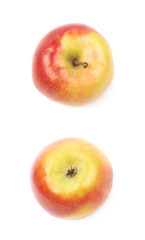 Ripe red and golden jonagold apple