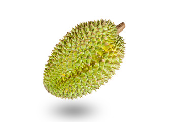 King of fruits, durian isolated on white background with clippin
