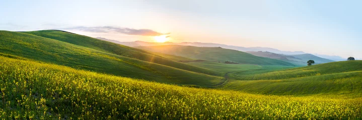 Foto op Plexiglas Platteland Het groene veld Toscane Italië