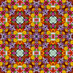 Fototapeta na wymiar Background of flowers and berries, the effect of a kaleidoscope.