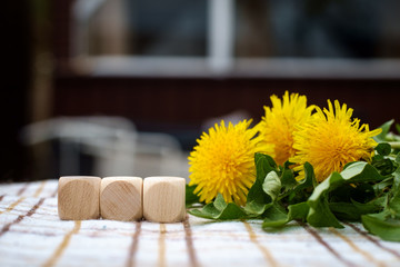 Garten - Blanko Würfel und Löwenzahn