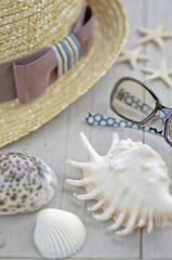 白い貝殻と夏の小物イメージ