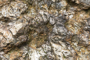 Felsenwand als Hintergrund mit kleinem Baum
