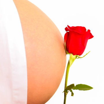 Flower rose and pregnant belly.