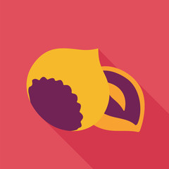 Nut flat icon. Fruit