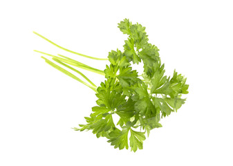 Parsley isolated on white