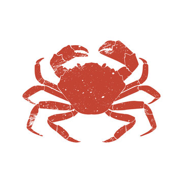 crab grunge silhouette isolated on white background.