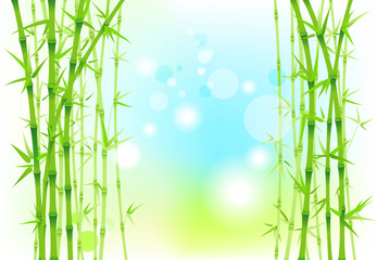 Obraz na płótnie Canvas Bamboo nature backdrop