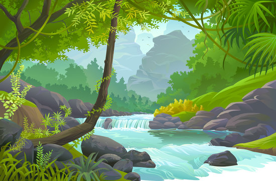 Stream of fresh water flowing through a tropical rain forest