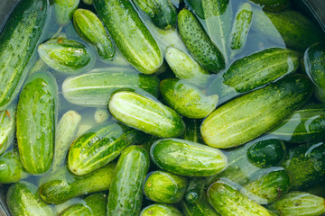 Cucumbers prepared for preservation