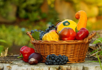 Autumn basket full of fruits and vegetables in the garden, in the light of the setting sun

