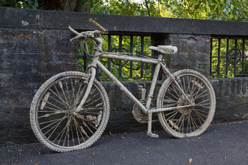 Fototapeta na wymiar Altes Fahrrad mit Rost und Schlamm bedeckt