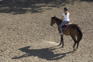 Equitazione, salto con ostacoli