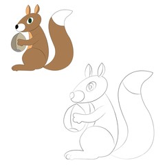 a squirrel holds a nut coloring. vector illustration of cartoon