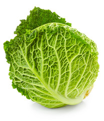 Savoy cabbage
