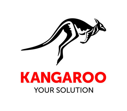 kangaroo blak whit  background
