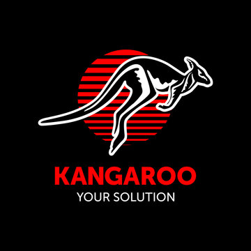 kangaroo hopping in the sun, vector, shop