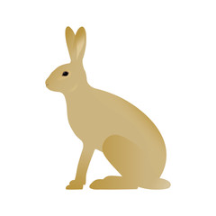 Vector illustration of a hare