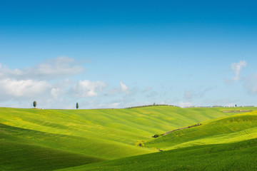 The green field Tuscany Italy