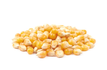 Pile of corn kernels isolated