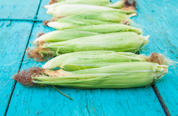 corn on the cob on a blue wooden background © tanacha
