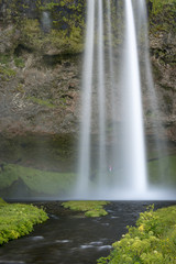 Naklejka premium Seljalandsfoss - Iceland