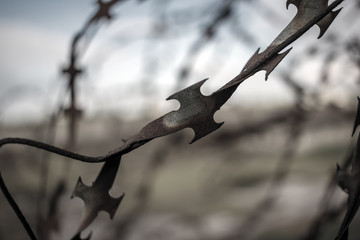 stabbing sharp fence . black and white
