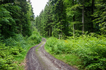 Fototapeta premium Ruins Haichenbach. Austria.