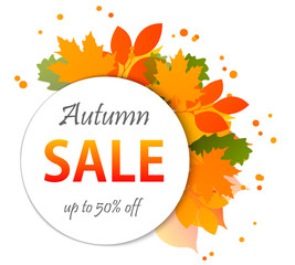 Autumn sale banners isolated on white background. Colorful leaves. Save up to 50%. Vector illustration