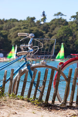 Noirmoutier en Île - Le Bois de la Chaise