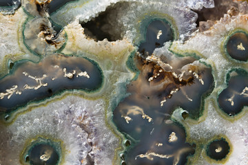 Picturesque texture of moss agate polished slice macro.