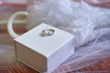 Two wedding rings made of white gold on box
