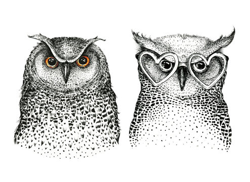 Hand drawn black white illustration owl fly bird. Art Coloring