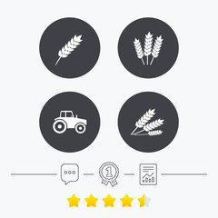 Agricultural icons. Wheat corn or Gluten free.