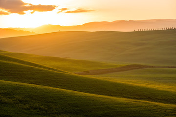 The green field Tuscany Italy