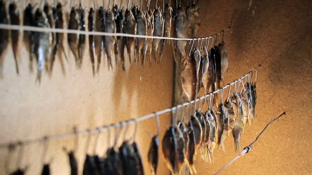 Fisherman fresh fish hangs on a rope. Dried fish hanging on a line