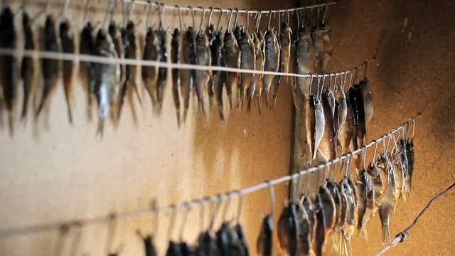 Fisherman fresh fish hangs on a rope. Dried fish hanging on a line