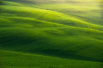 Crédence de cuisine en verre imprimé Campagne The green field Tuscany Italy