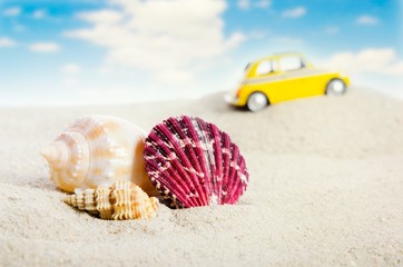 Shell on sand with yellow car in background.