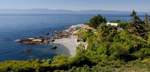 View of bay near Trafalgar park and Maquinna St, Victoria