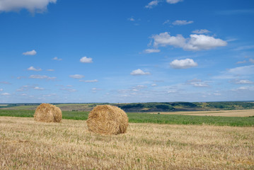 Fototapeta premium Summer landscape with landing field and rolls of hay on a sunny day