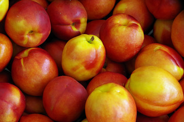 Bright yellow and orange nectarines displayed for market