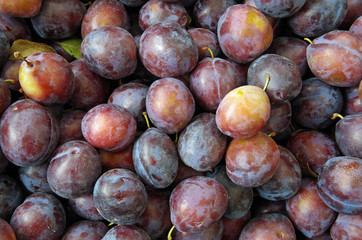 Mounds of purple plums displayed for market