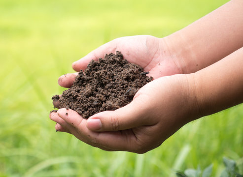 soil on farmer hand over green background