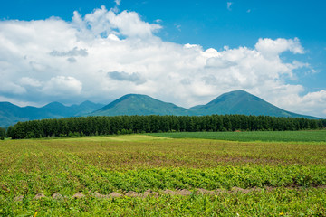 Fototapeta na wymiar 北海道　ヌプカウシヌプリ山
