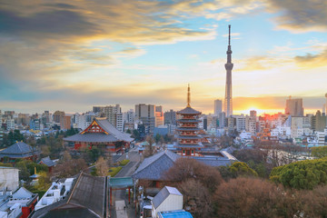 Obraz premium View of Tokyo skyline at twilight