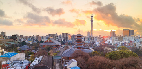 Naklejka premium Widok na panoramę Tokio o zmierzchu