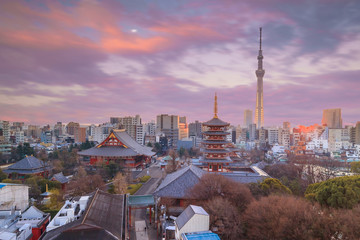 Obraz premium View of Tokyo skyline at twilight